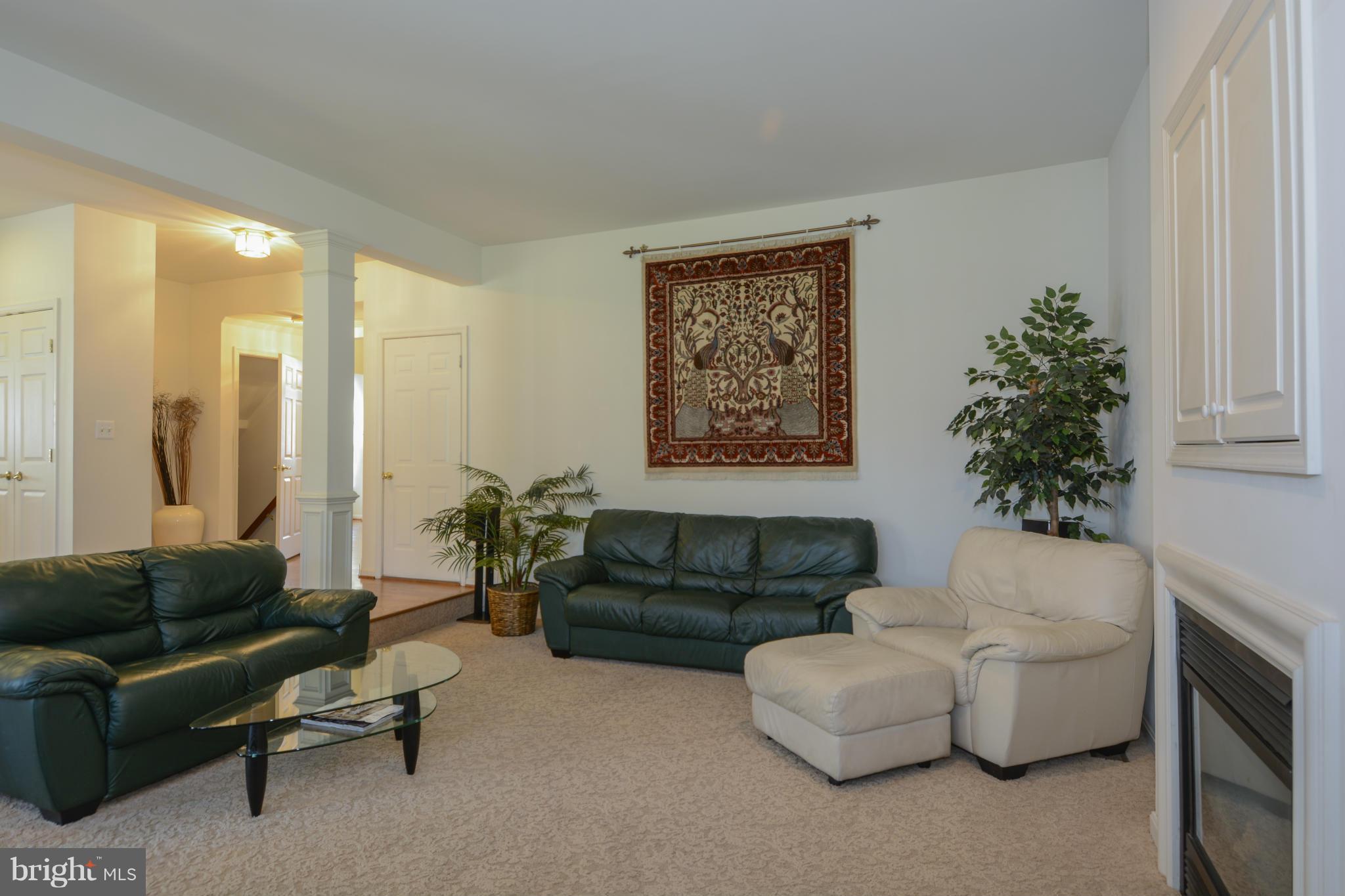 1405 Limetree Court Silver Spring, MD 20904 - Photo 14 of 30 Family Room