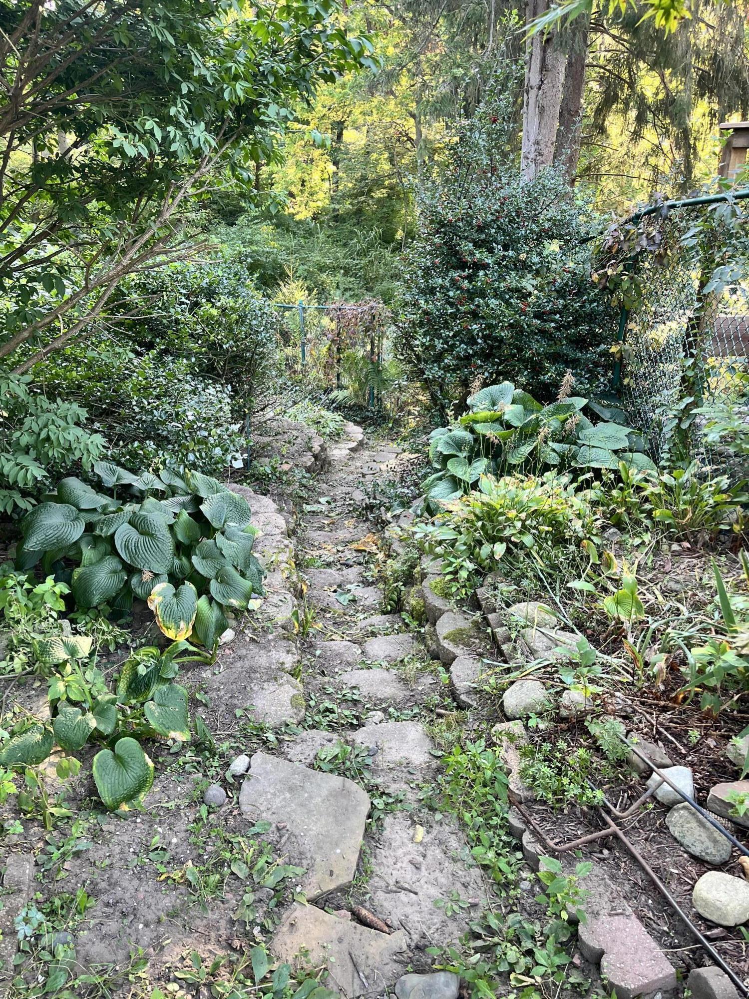 2878 West Bundy Road Coloma, MI 49038 - Photo 53 of 78 03_yard-14