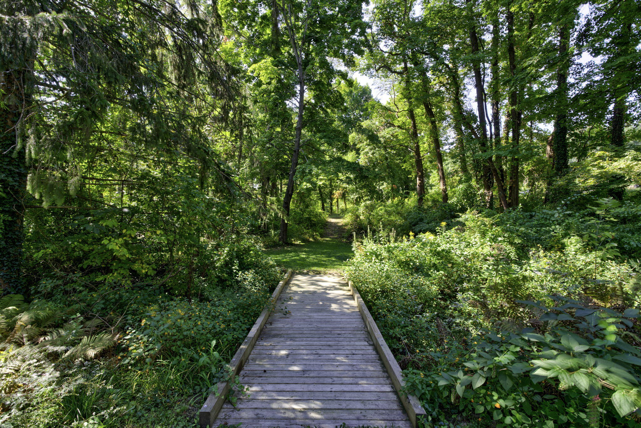 2878 West Bundy Road Coloma, MI 49038 - Photo 67 of 78 05_woods-05