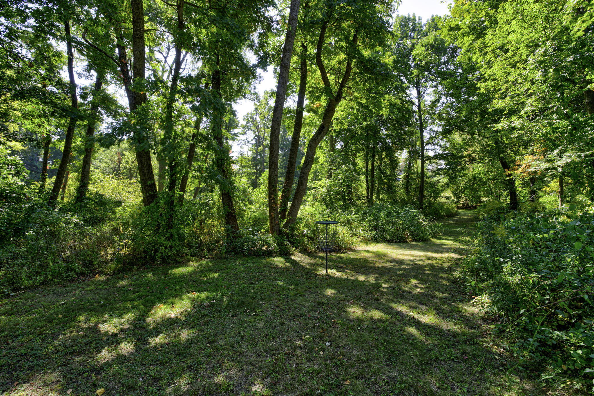 2878 West Bundy Road Coloma, MI 49038 - Photo 69 of 78 05_woods-07