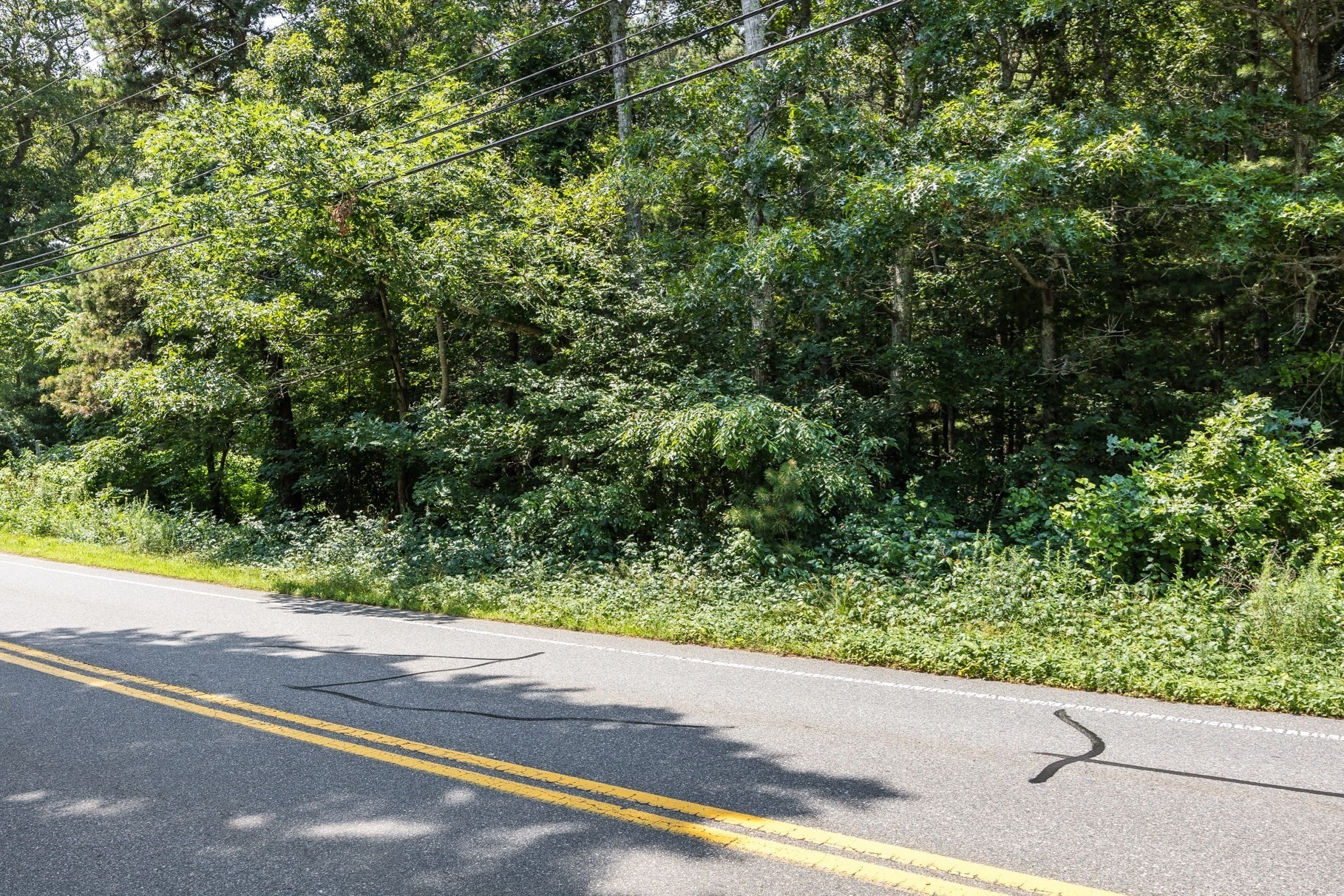 57 Red Brook Road Falmouth, MA 02536 - Photo 9 of 32 Gallery Image 9