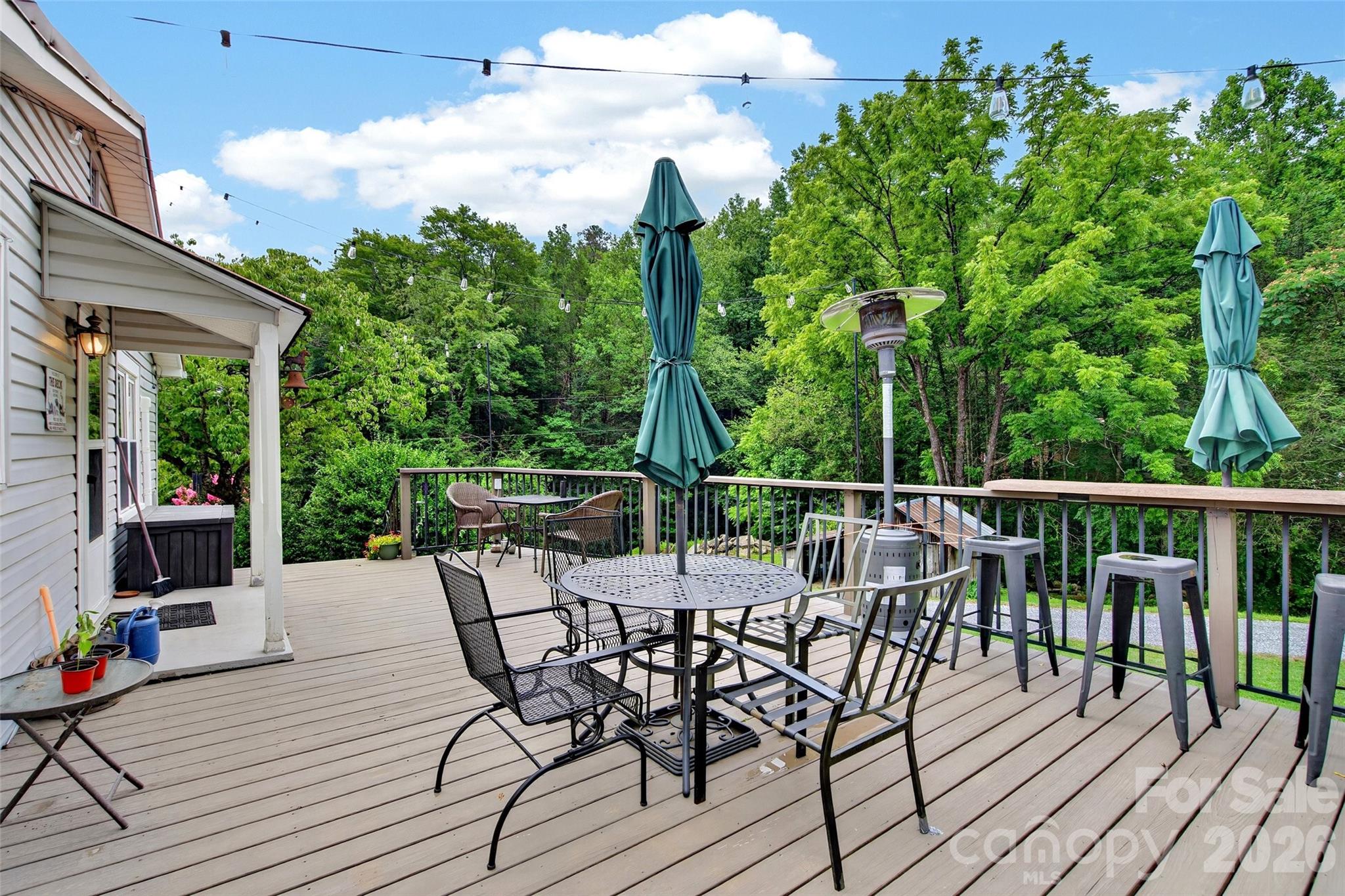 664 Paxton Creek Road Marion, NC 28752 - Photo 46 of 47