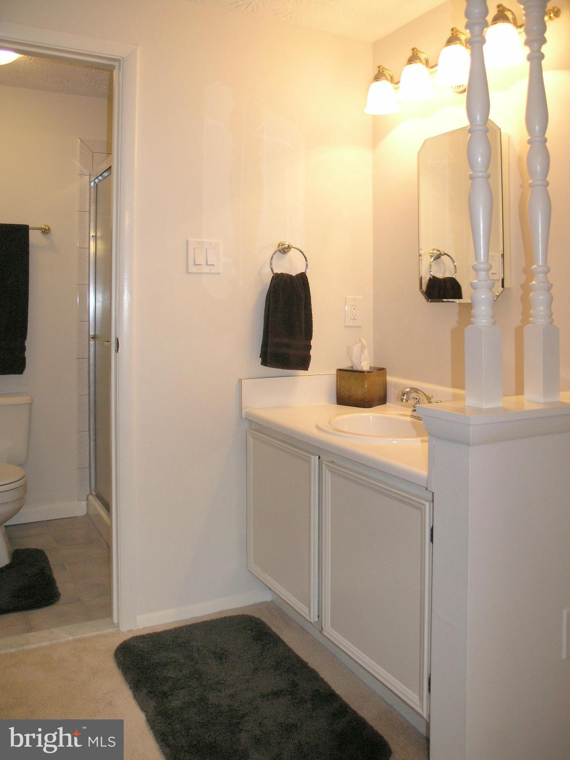 2317 Middle Creek Lane Reston, VA 20191 - Photo 18 of 30 Master Bath - separate vanity and walk-in closet