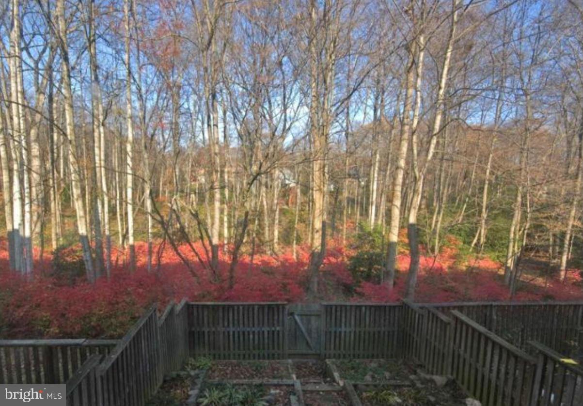 2317 Middle Creek Lane Reston, VA 20191 - Photo 27 of 30 Rear View