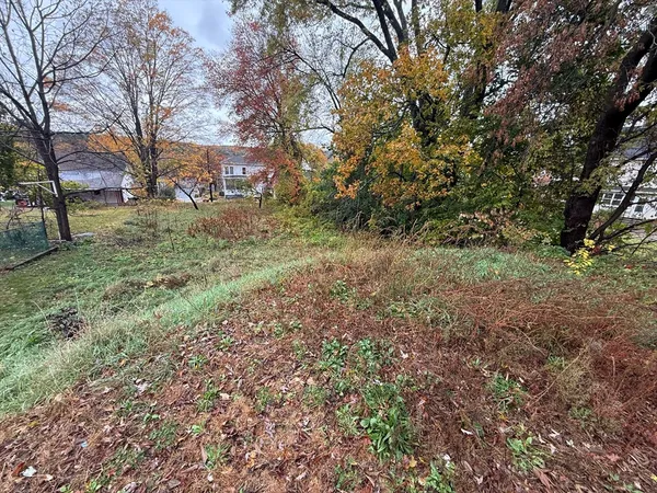 a view of a yard with large trees