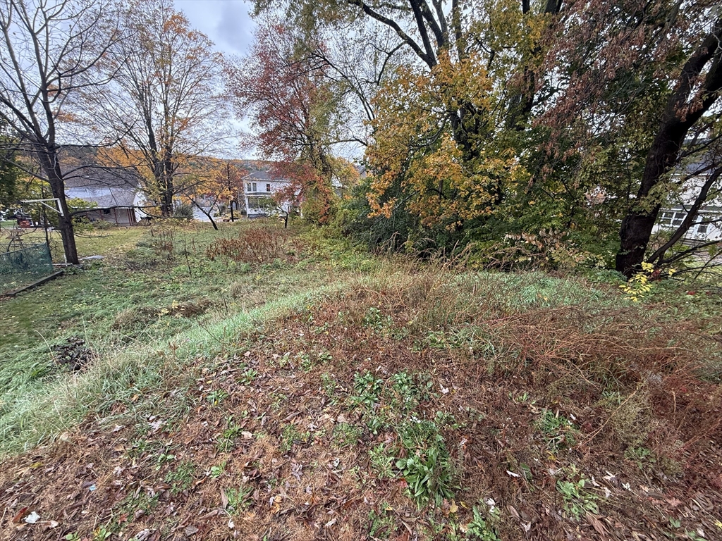 114 North Street Ware, MA 01082 - Photo 23 of 25 a view of a yard with large trees