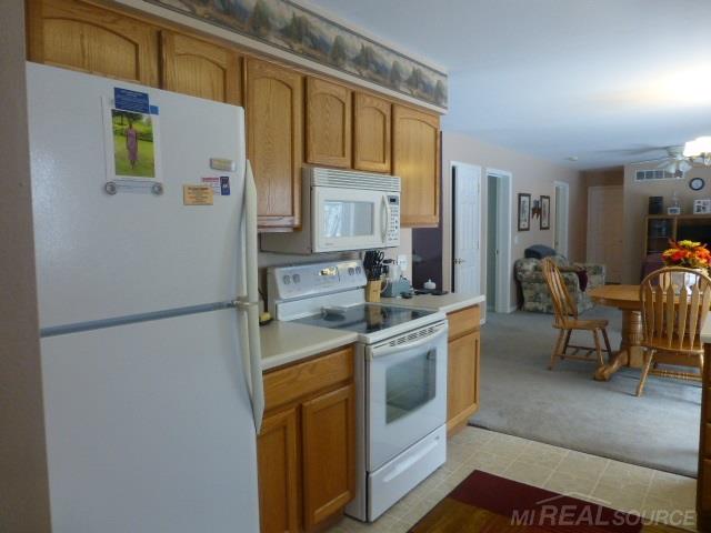 8101 Petz Road Imlay City, MI 48444 - Photo 8 of 23 Gallery Image 8