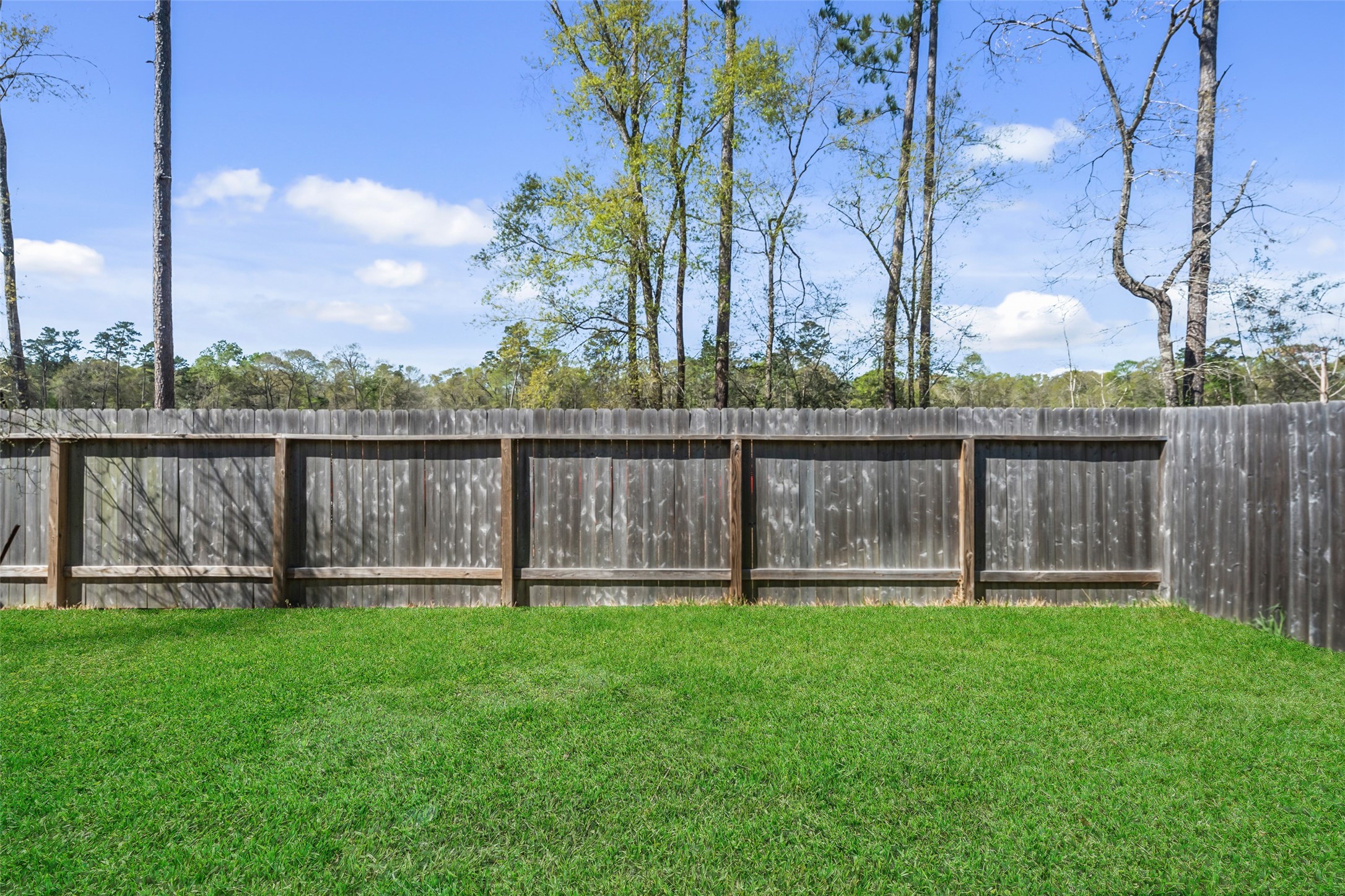 2302 Raider Drive Conroe, TX 77301 - Photo 23 of 25 a garden view with a lake view