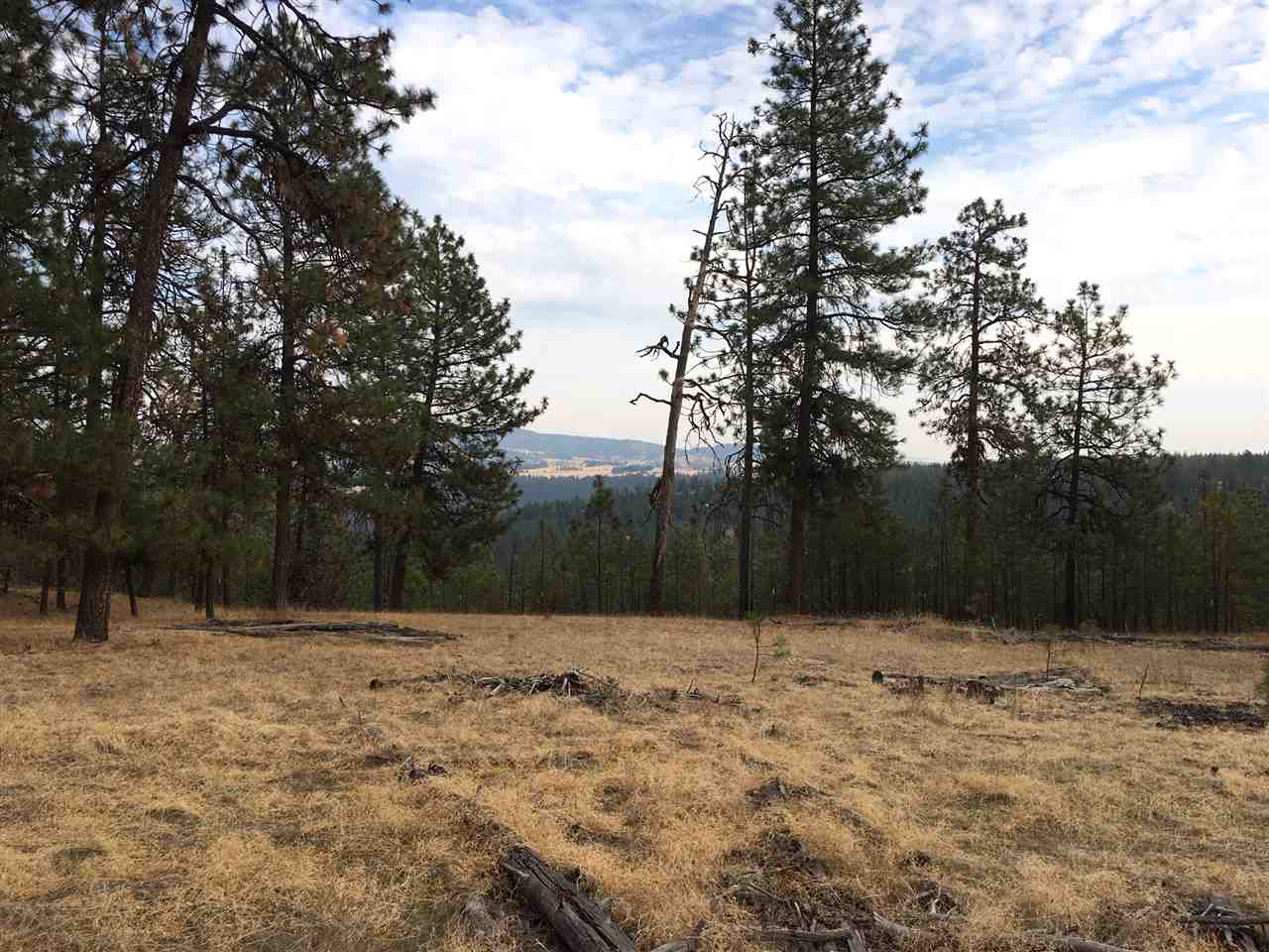 9449 South Cedar Rim Lane Spokane, WA 99224 - Photo 8 of 15