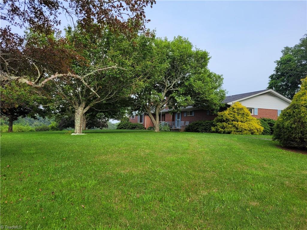574 Hardin Camp Road Ennice, NC 28623 - Photo 18 of 50 View from Front Yard