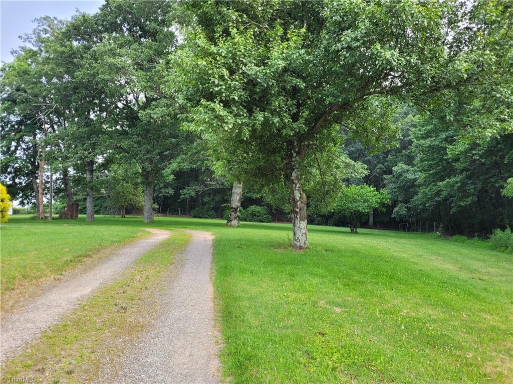 574 Hardin Camp Road Ennice, NC 28623 - Photo 23 of 50 Driveway Entrance