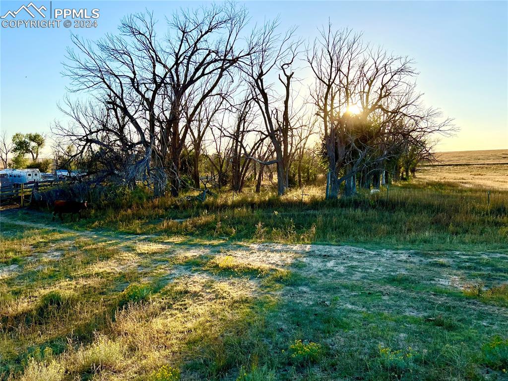 34650 Bellemont Road Yoder, CO 80864 - Photo 16 of 29 a view of backyard with green space