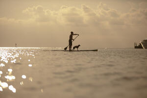 900 Harbour Point Lane, Unit 900 Miramar Beach, FL 32550 - Photo 62 of 64 Paddle Boarding 2