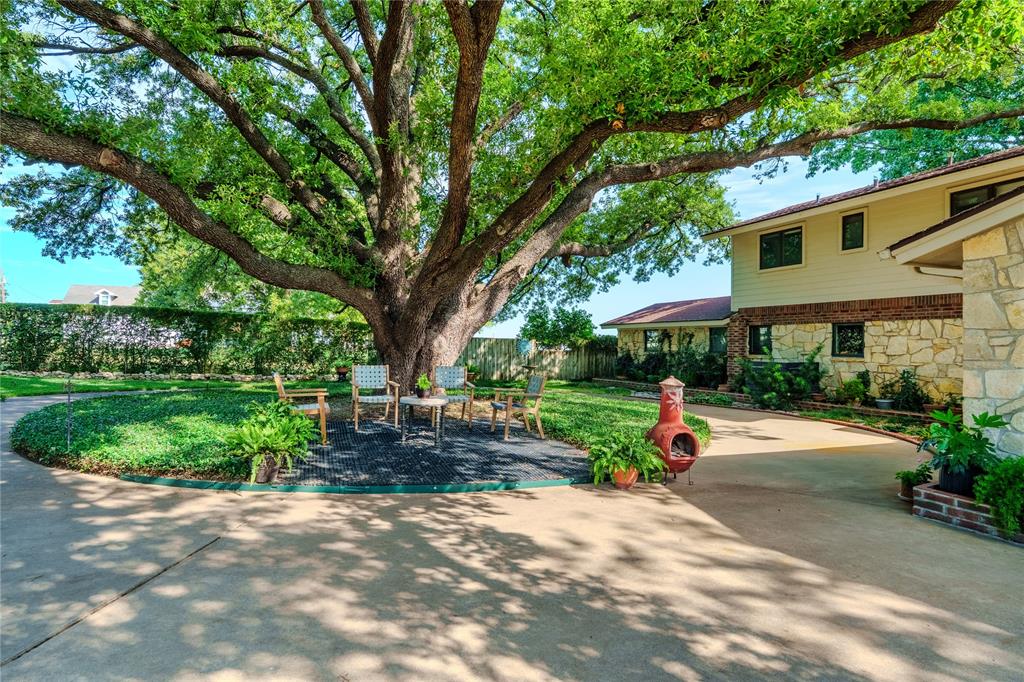 218 North Broadway Azle, TX 76020 - Photo 5 of 40 Massive Oak Trees