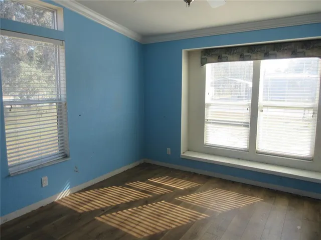 a view of a lake with a tree