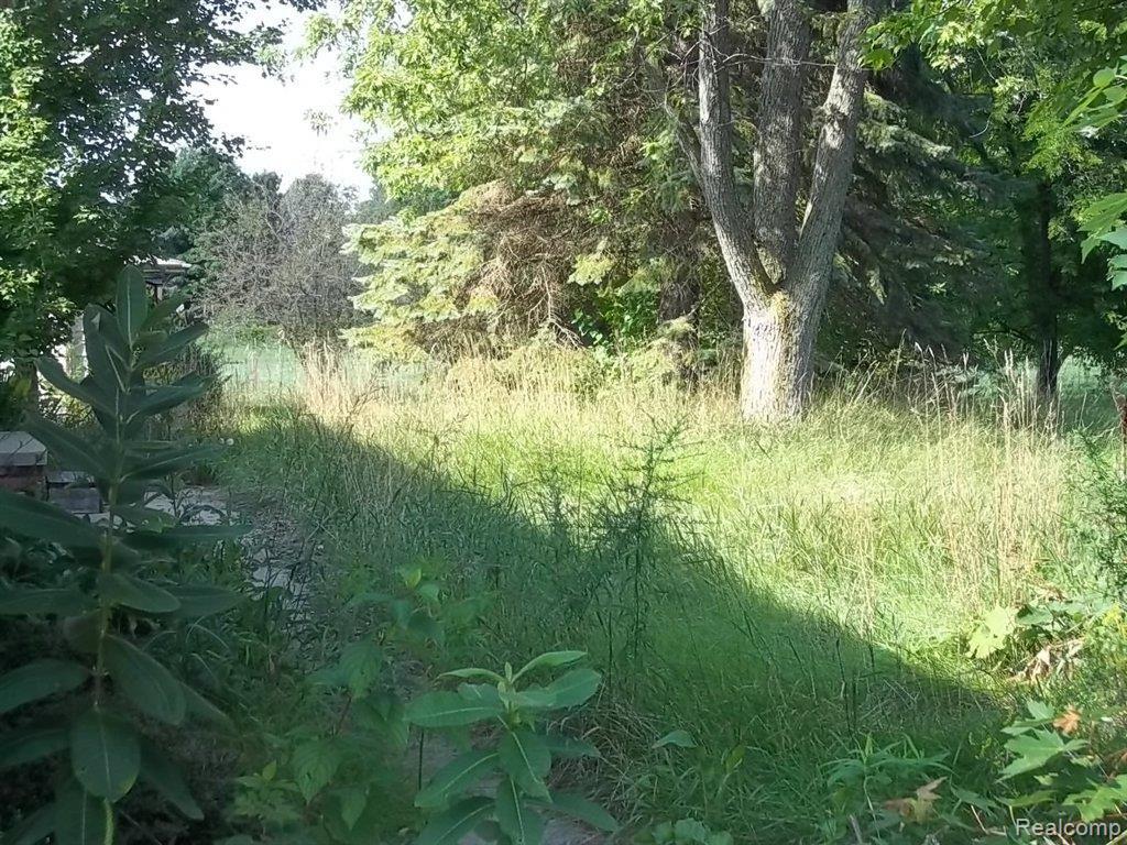 7136 Hinchey Road Pinckney, MI 48169 - Photo 16 of 16 View.JPG