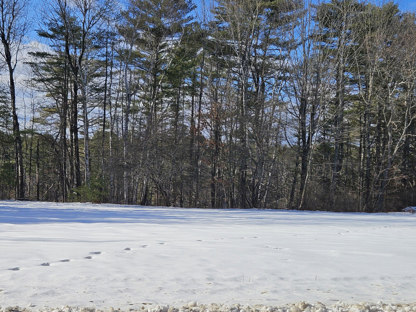Tbd East River Road Skowhegan, ME 04976 - Photo 11 of 13 20260113_122751_result
