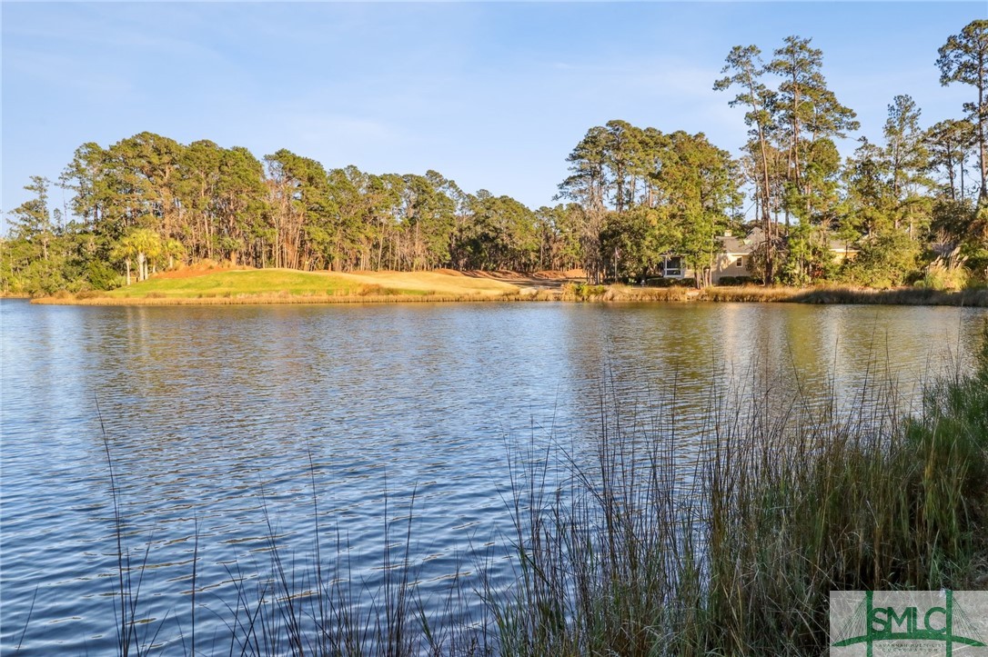 17 Long Island Road Savannah, GA 31411 - Photo 34 of 35 Lagoon View