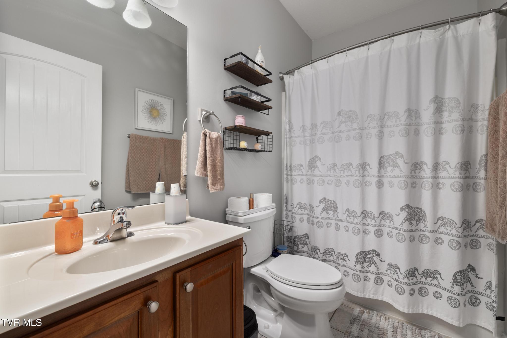 183 Jay Armentrout Road Jonesborough, TN 37659 - Photo 18 of 50 Full bathroom