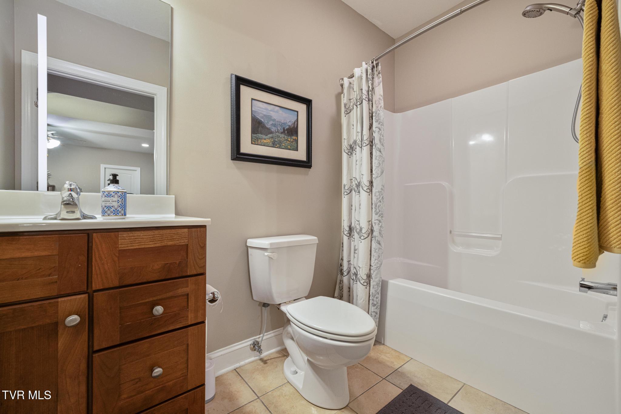 183 Jay Armentrout Road Jonesborough, TN 37659 - Photo 31 of 50 Full bathroom