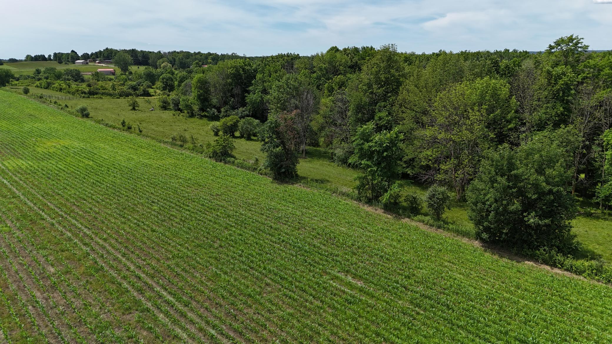 Tbd Tbd 230th Baldwin, WI 54002 - Photo 42 of 56