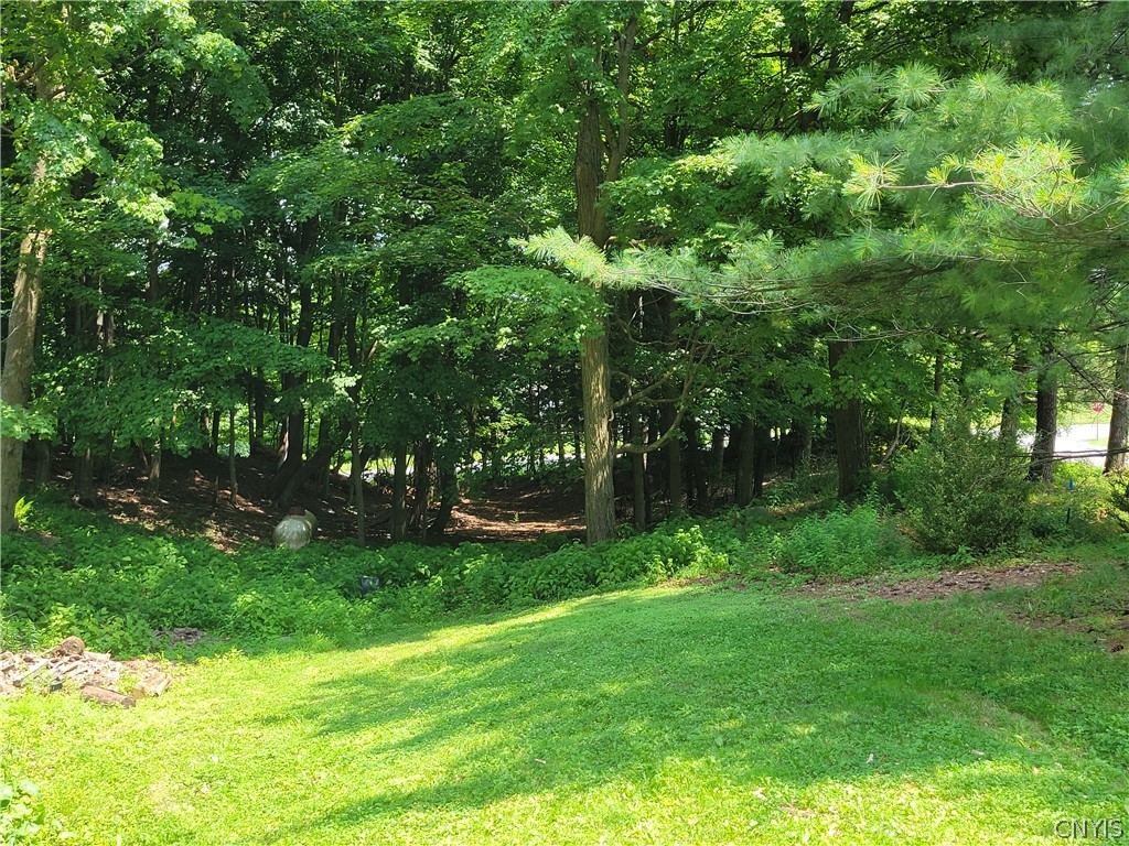 1000 Rail Fence Road Camillus, NY 13031 - Photo 35 of 47 THE LOT HAS A LOT TO OFFER