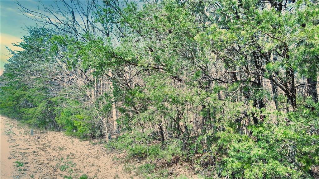 0 157th Highway Rising Fawn, GA 30738 - Photo 17 of 19