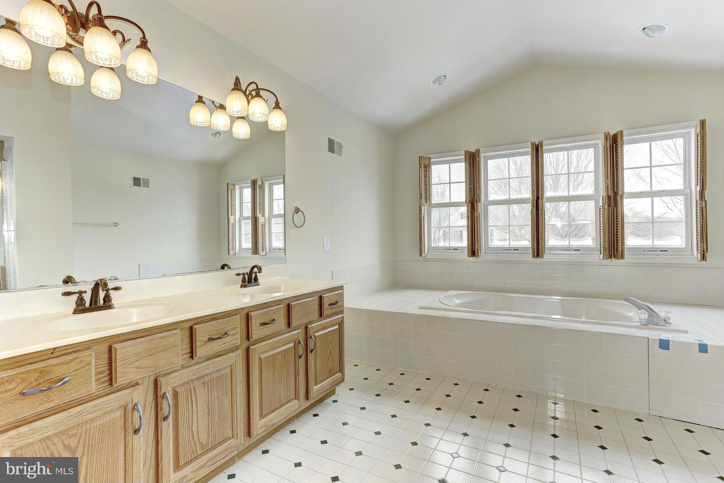 6445 River Run Columbia, MD 21044 - Photo 20 of 30 Spa-Like Master Bath