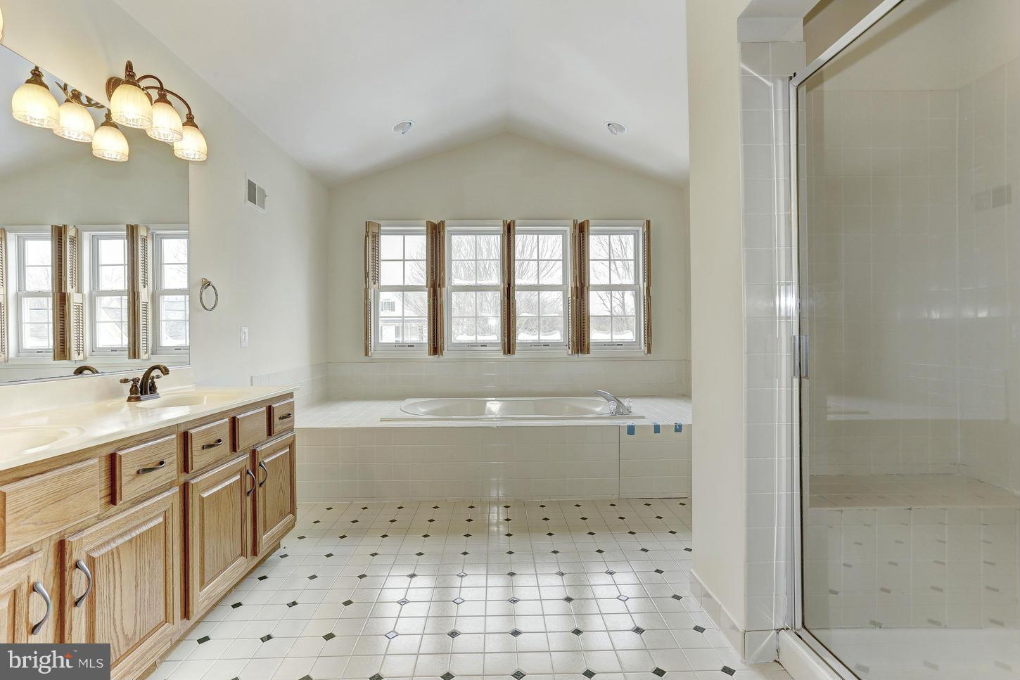 6445 River Run Columbia, MD 21044 - Photo 21 of 30 Spa-Like Master Bath