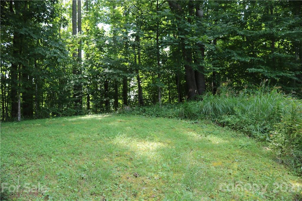 152 Arrington Branch Road Marshall, NC 28753 - Photo 29 of 40 Gallery Image 29