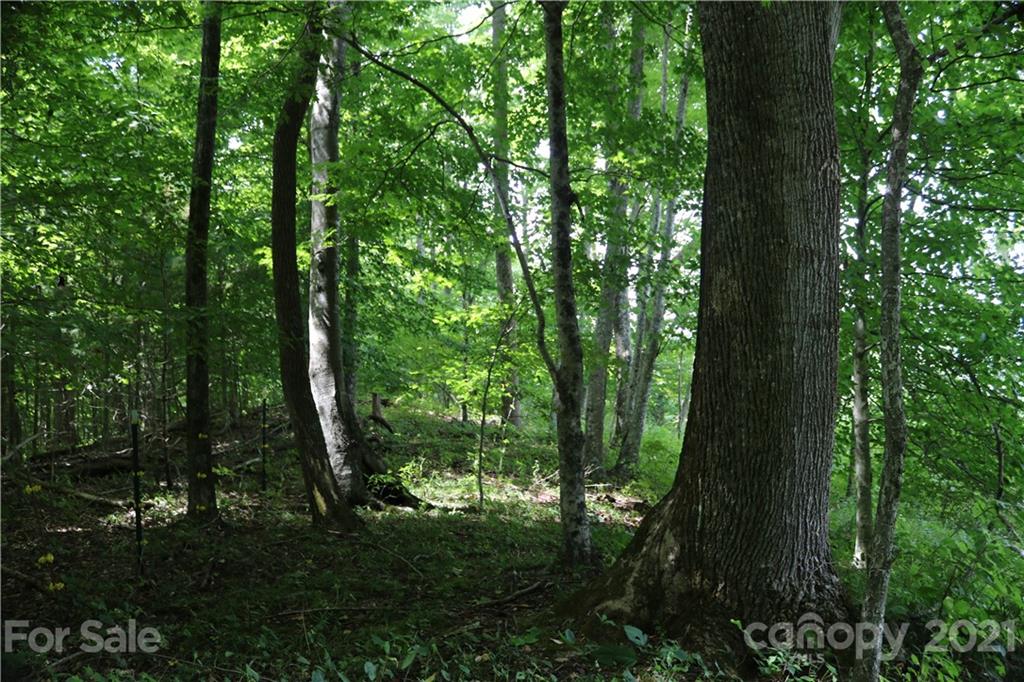 152 Arrington Branch Road Marshall, NC 28753 - Photo 30 of 40 Gallery Image 30
