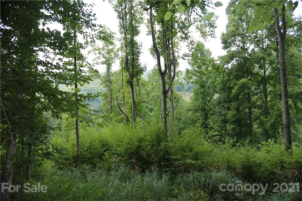 152 Arrington Branch Road Marshall, NC 28753 - Photo 32 of 40 Gallery Image 32