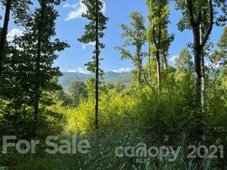 152 Arrington Branch Road Marshall, NC 28753 - Photo 38 of 40 Gallery Image 38