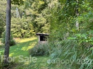 152 Arrington Branch Road Marshall, NC 28753 - Photo 39 of 40 Gallery Image 39