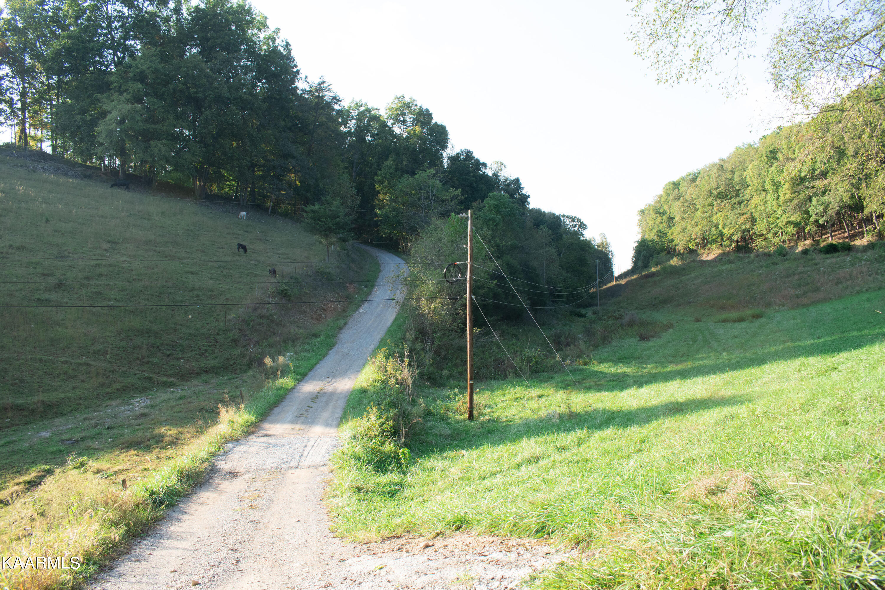 1396 Montgomery Road Tazewell, TN 37879 - Photo 9 of 28 7E0D7275-2476-40C6-B915-06AB68449C0D