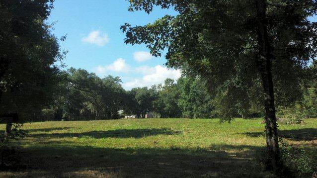 D2 Shark Hole Road Meggett, SC 29449 - Photo 2 of 5 brush pic 6