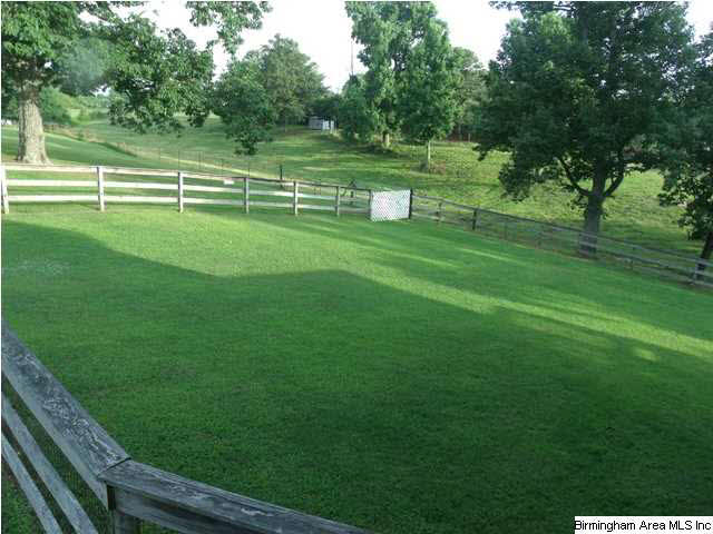 46615 Highway 231 South Oneonta, AL 35121 - Photo 9 of 28