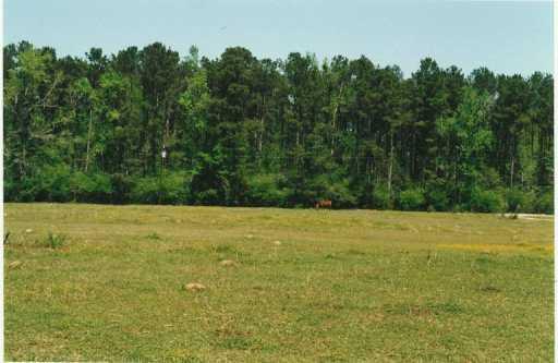 17252 Chapman Road Loranger, LA 70446 - Photo 1 of 6