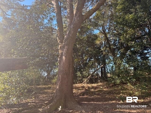 0 Krehling Lane Elberta, AL 36530 - Photo 7 of 10 View of nature