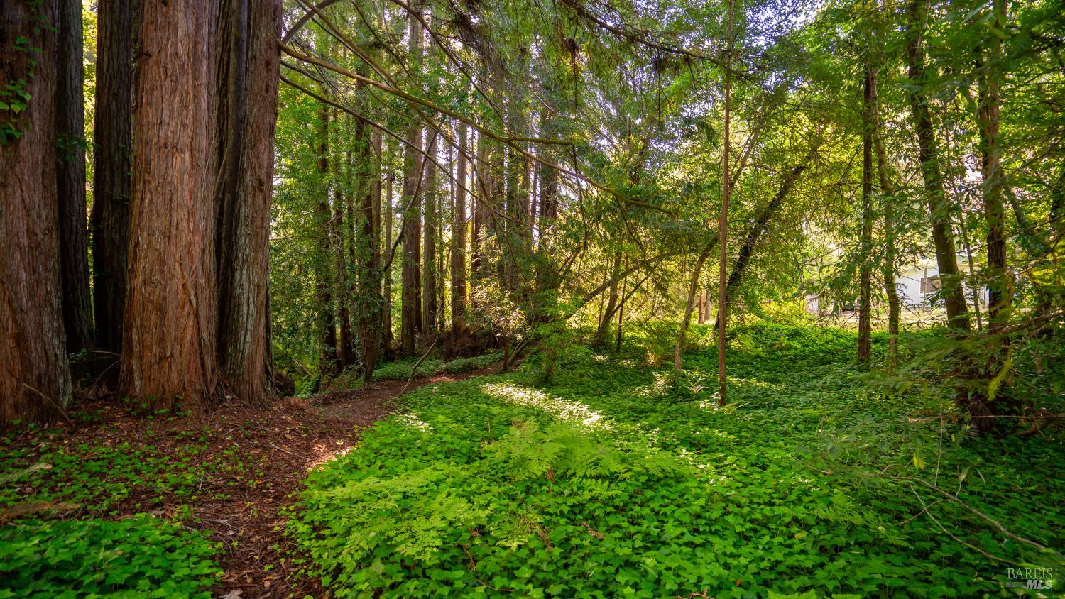 9901 Occidental Road Sebastopol, CA 95472 - Photo 52 of 55
