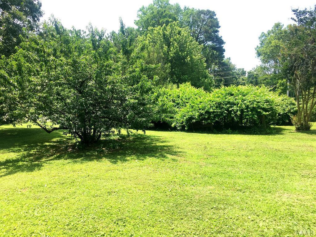 267 Yeopim Road Edenton, NC 27932 - Photo 29 of 35