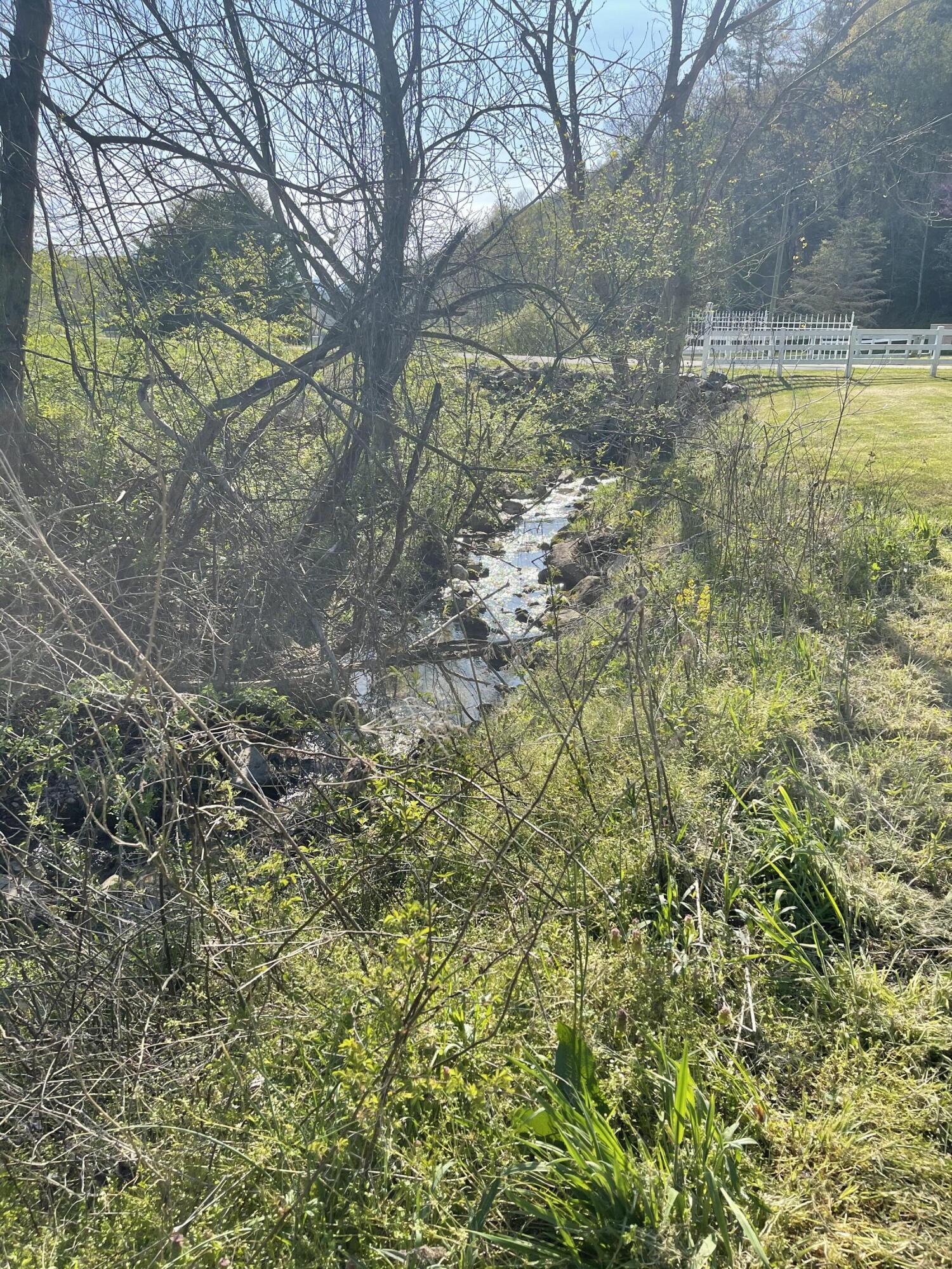Tbd Little Dry Run Road, Unit 1 Butler, TN 37640 - Photo 4 of 11 Photo Apr 27, 5 27 55 PM