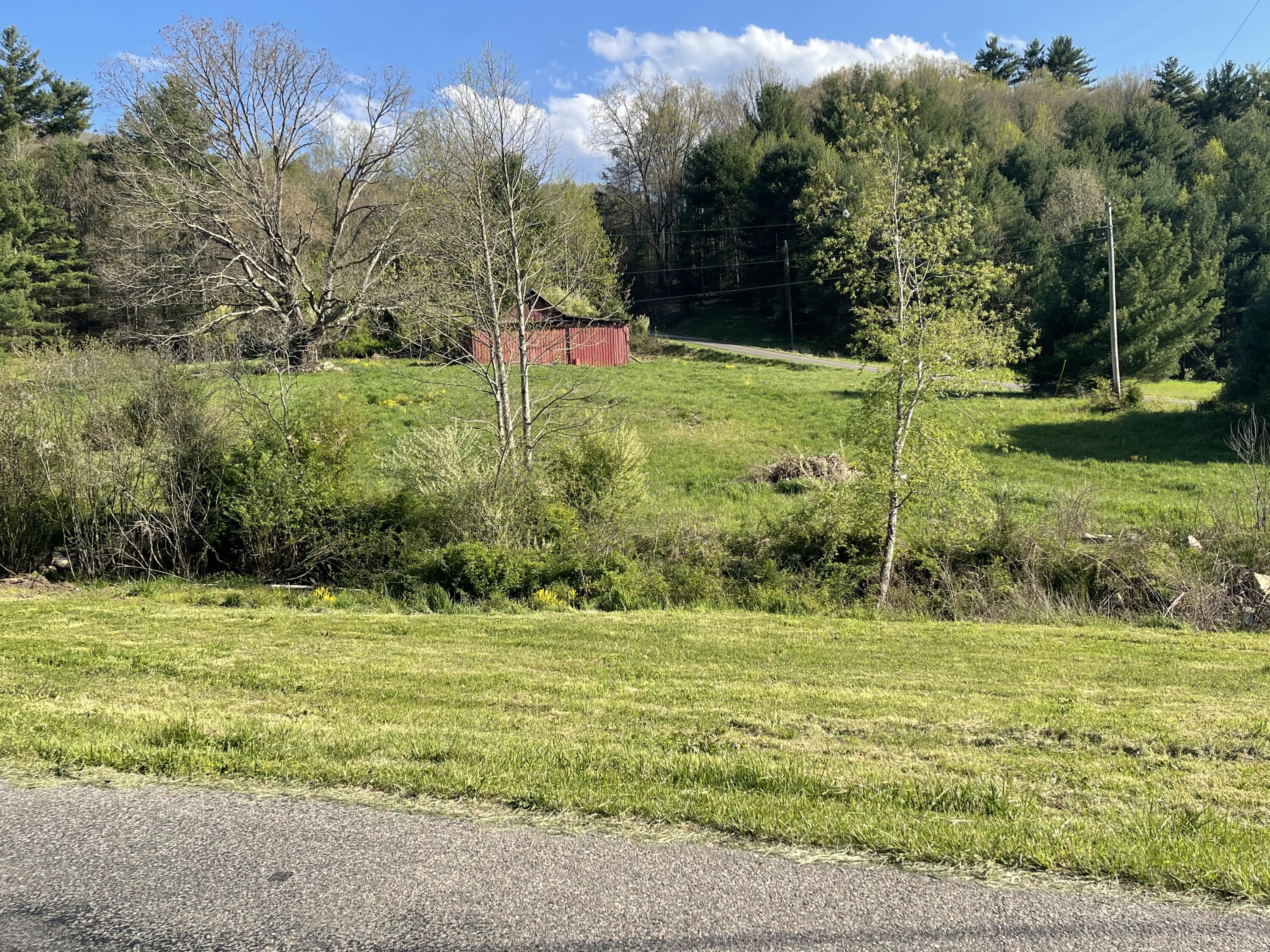 Tbd Little Dry Run Road, Unit 1 Butler, TN 37640 - Photo 5 of 11 Photo Apr 27, 5 28 45 PM