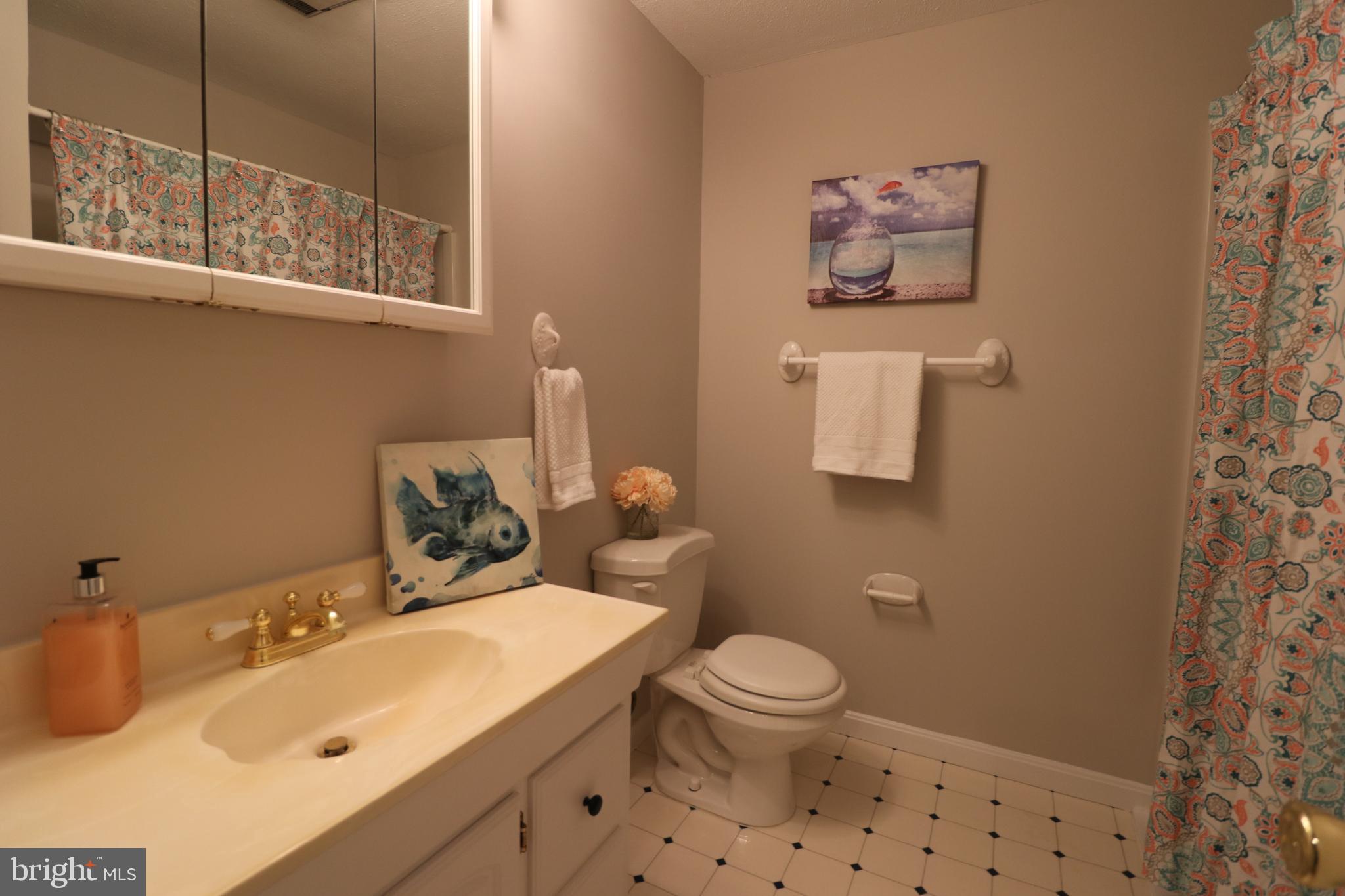 17501 Collier Circle Poolesville, MD 20837 - Photo 24 of 34 Lower level full bath