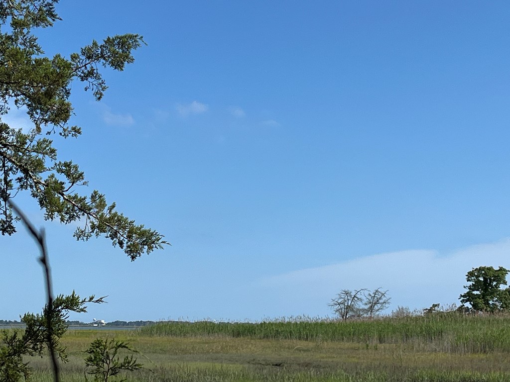 N/a Chincoteague Road Wallops Island, VA 23337 - Photo 27 of 27