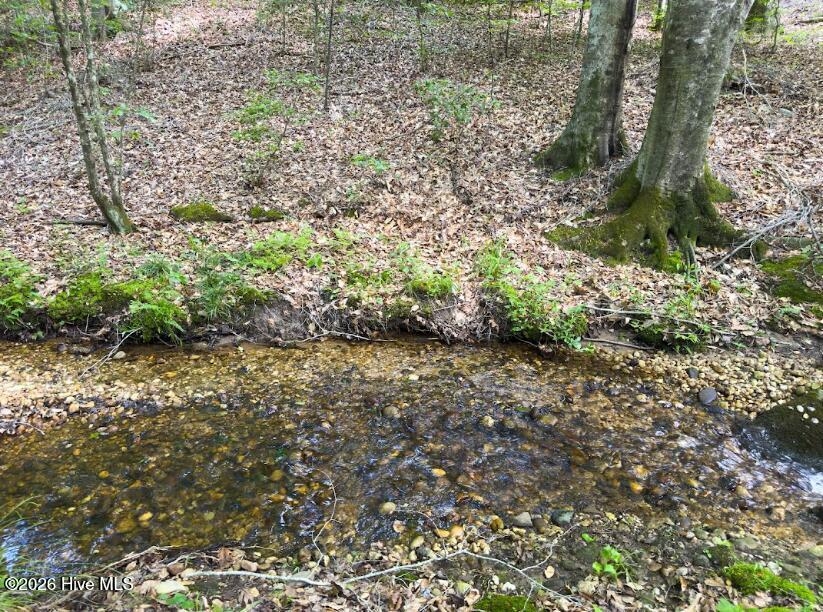 0 Old Charlotte Highway Rockingham, NC 28379 - Photo 3 of 13 03_beyc69b42bcc64ef1