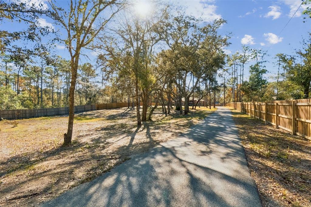 9078 Birmingham Avenue Weeki Wachee, FL 34613 - Photo 30 of 56