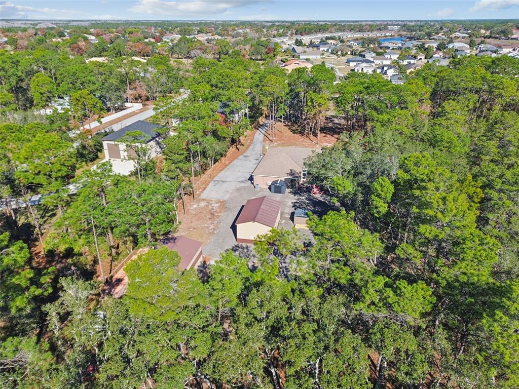 9078 Birmingham Avenue Weeki Wachee, FL 34613 - Photo 49 of 56