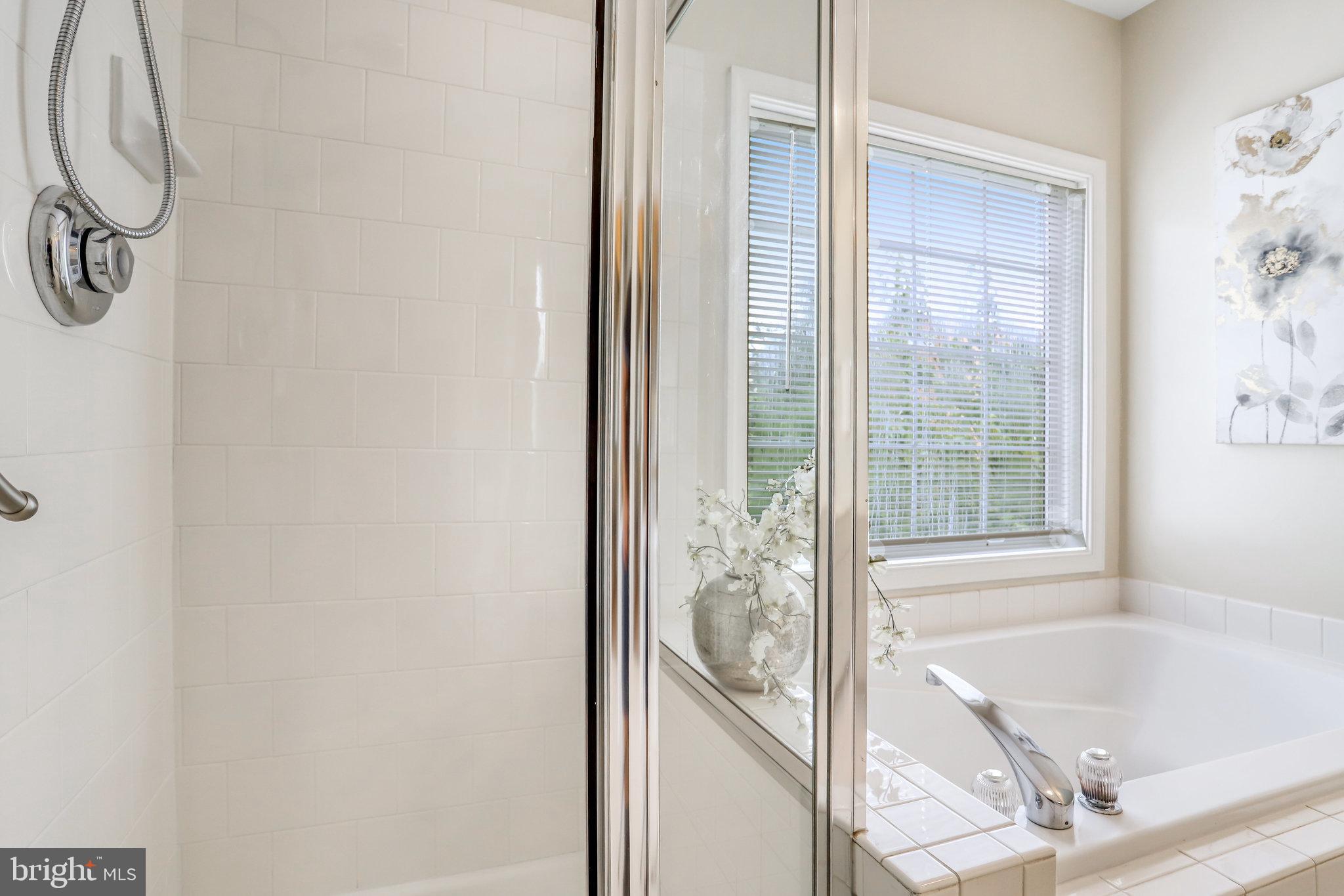 6001 Riddle Walk Alexandria, VA 22312 - Photo 32 of 85 Master Bath Shower
