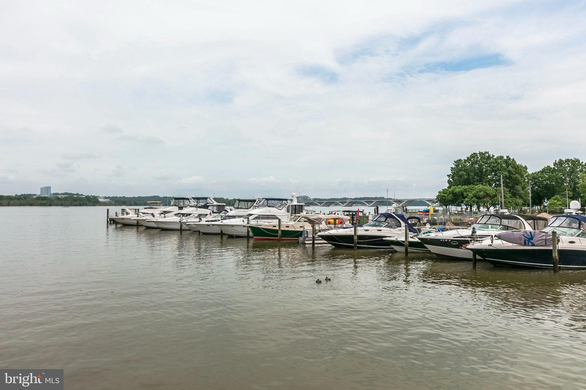 6001 Riddle Walk Alexandria, VA 22312 - Photo 70 of 85 Old Town Alexandria Marina